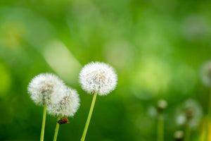 病院へ～そして時間を大切に・・・（父編①）